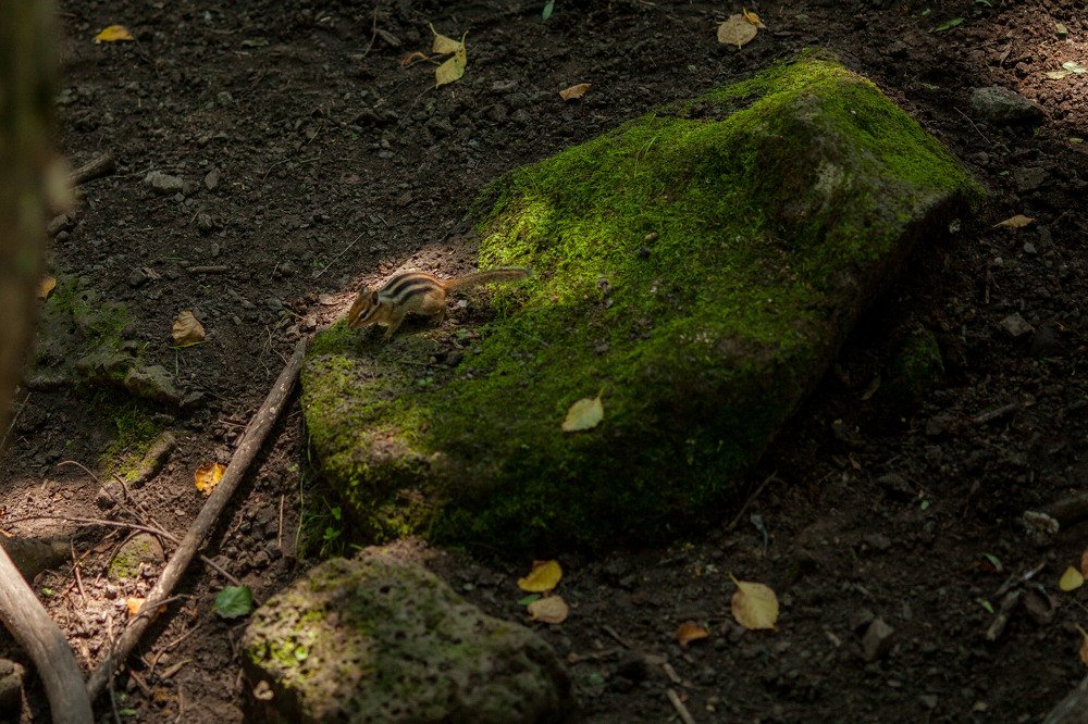 Photograph by Катя Дудченко