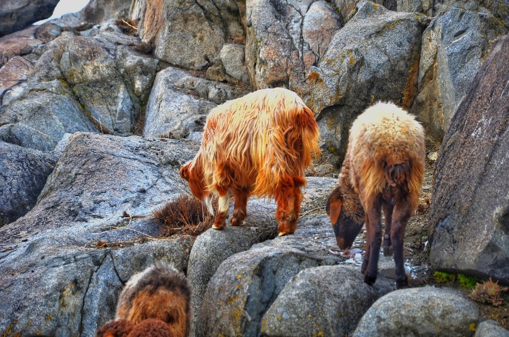 Photograph by Hussain Mushahid