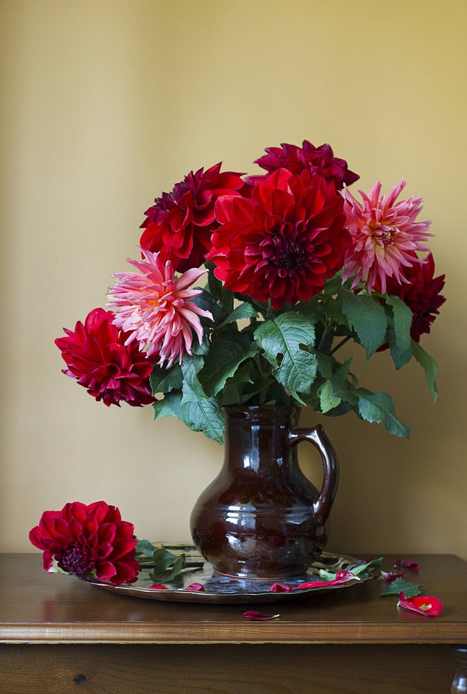 Photograph by Демидова Евгения