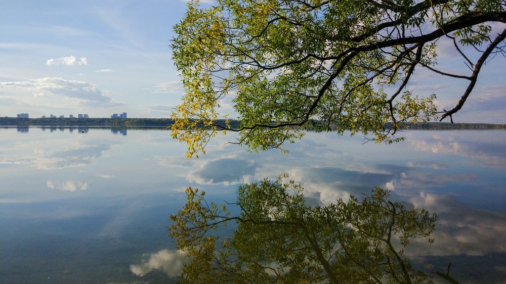Photograph by Ирина Харлова