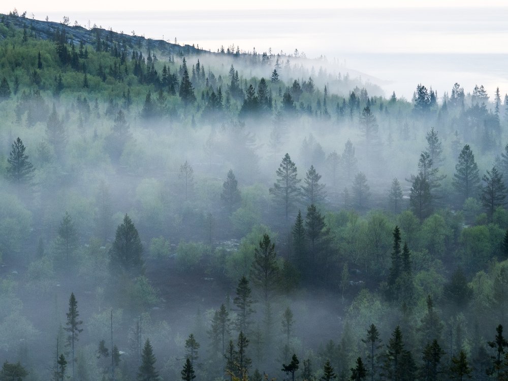 Photograph by Александр Авдушев