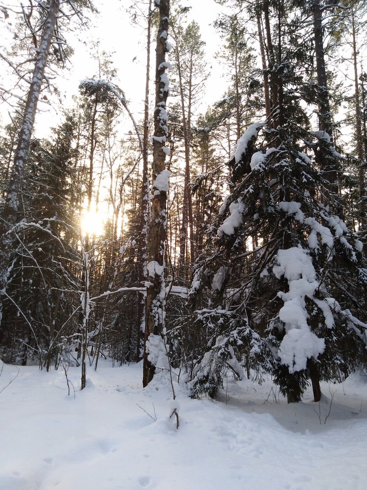 Photograph by Анастасия Мальцева
