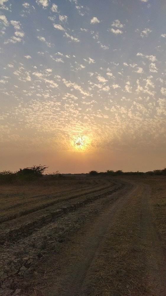 Photograph by Vinod Chavada