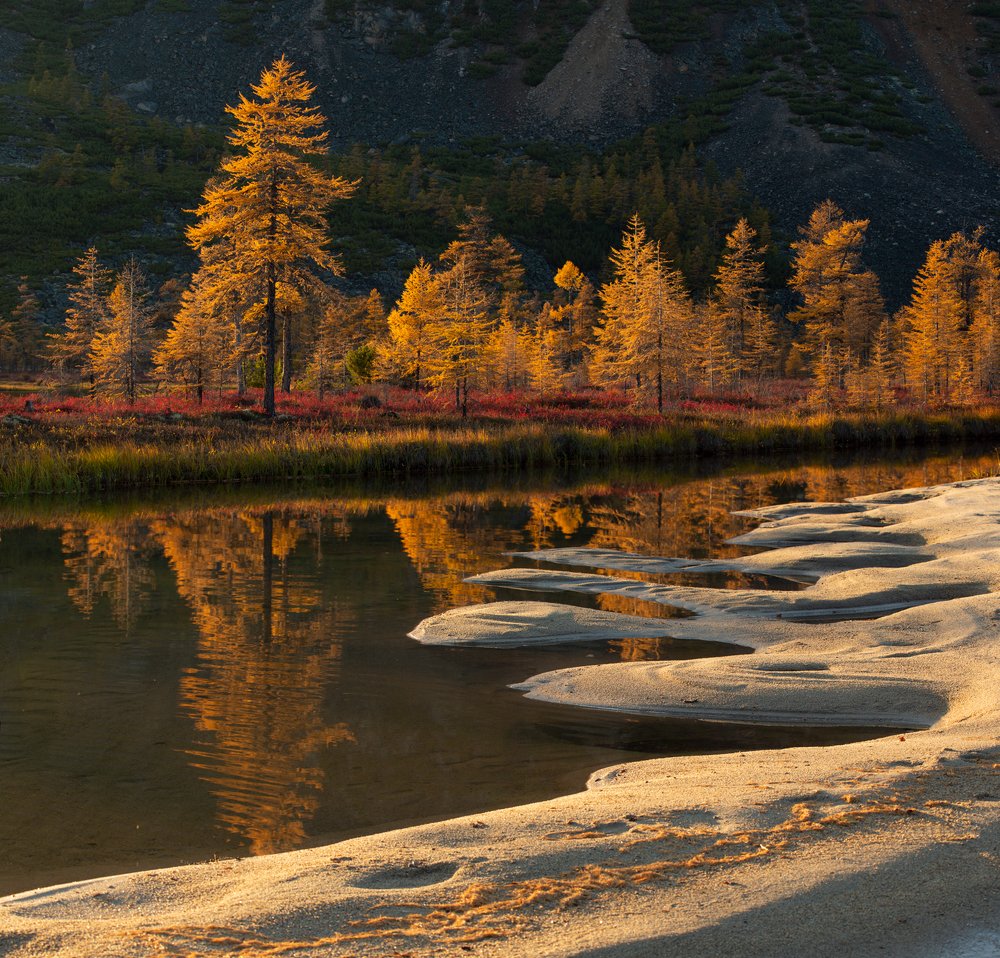 Photograph by Антон Селезнев