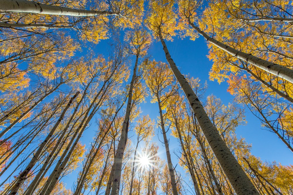 Фотография автора Юрий Литвинов