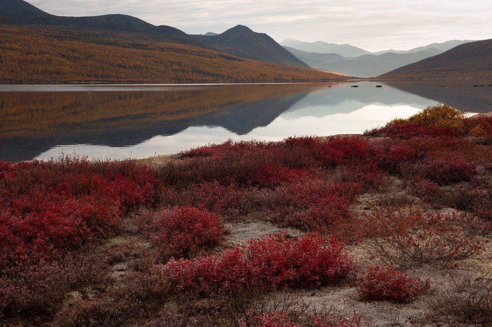 Photograph by Антон Селезнев