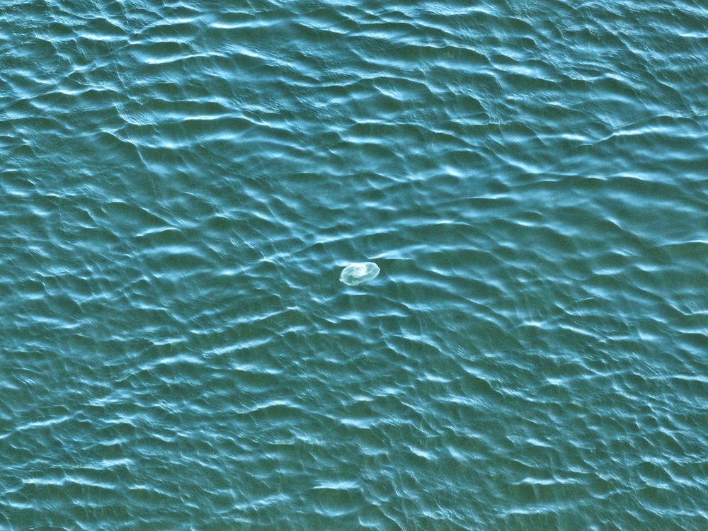 Photograph by Ольга Беккер