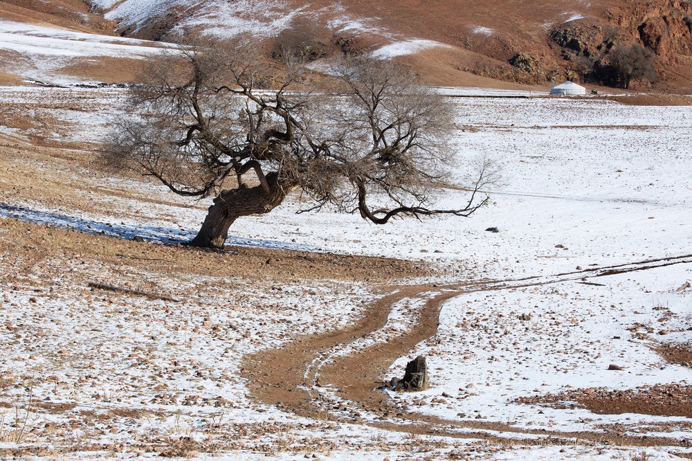 Photograph by Антон Селезнев