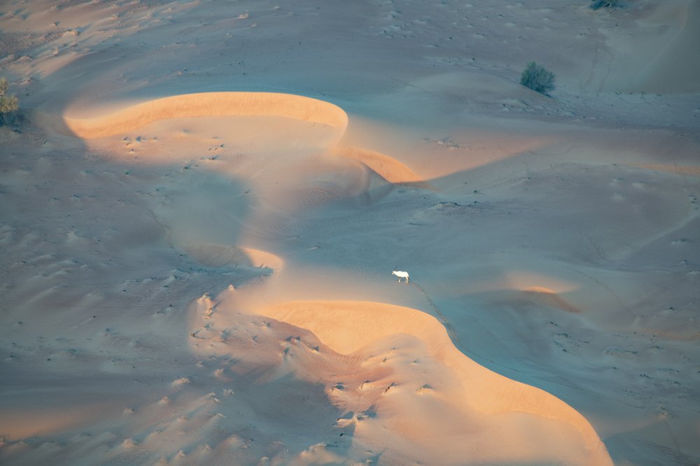 Photograph by Ильхам Шакиров