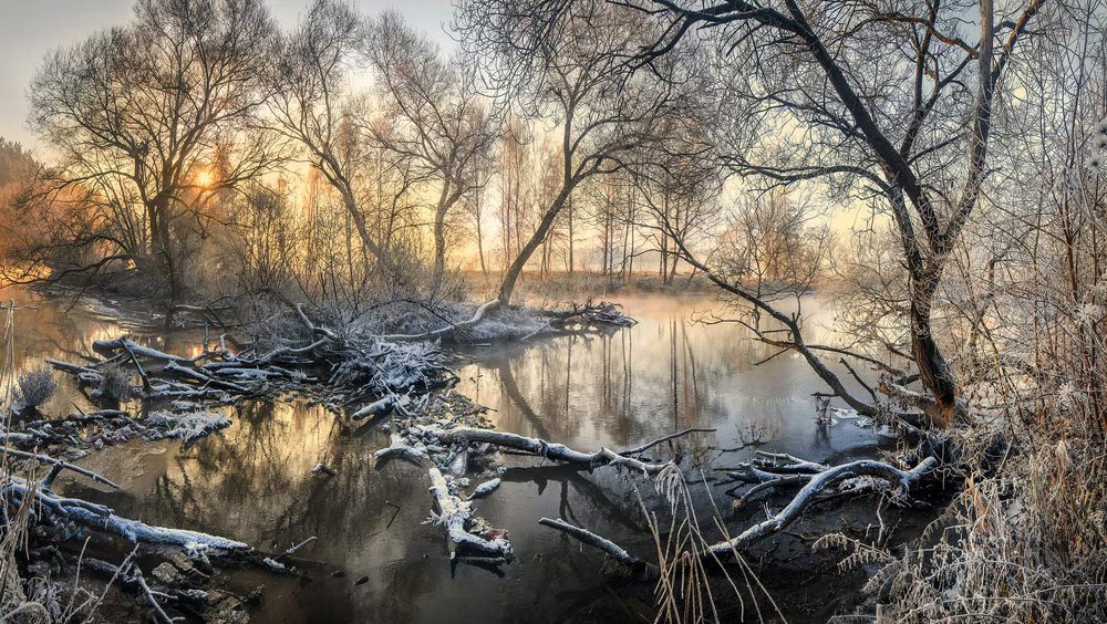 Photograph by Людмила Сиденко