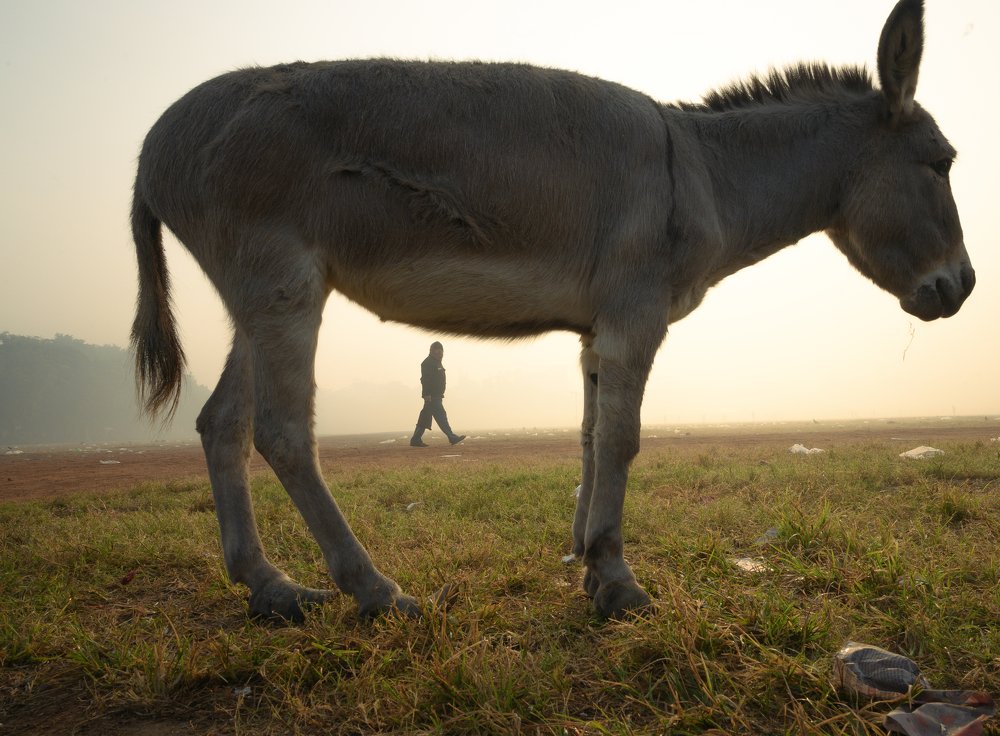 Photograph by Abhiram Kumar
