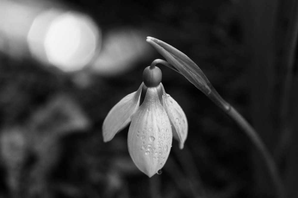 Photograph by Simona Grigorescu