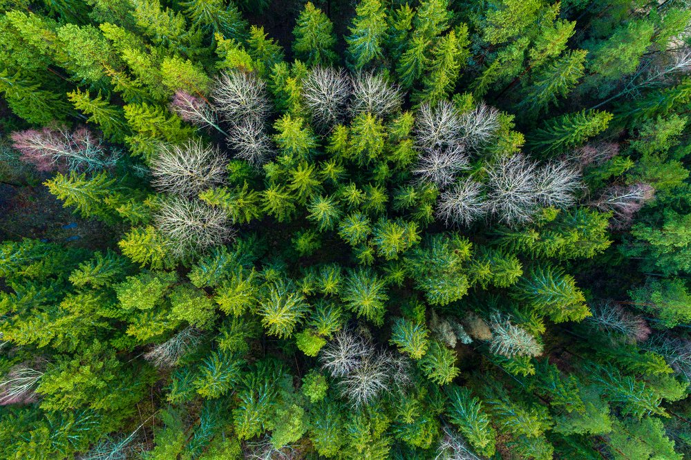 Photograph by Gatis Vilbrants