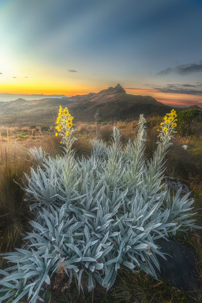 Sunset at the Nevado del Ruiz