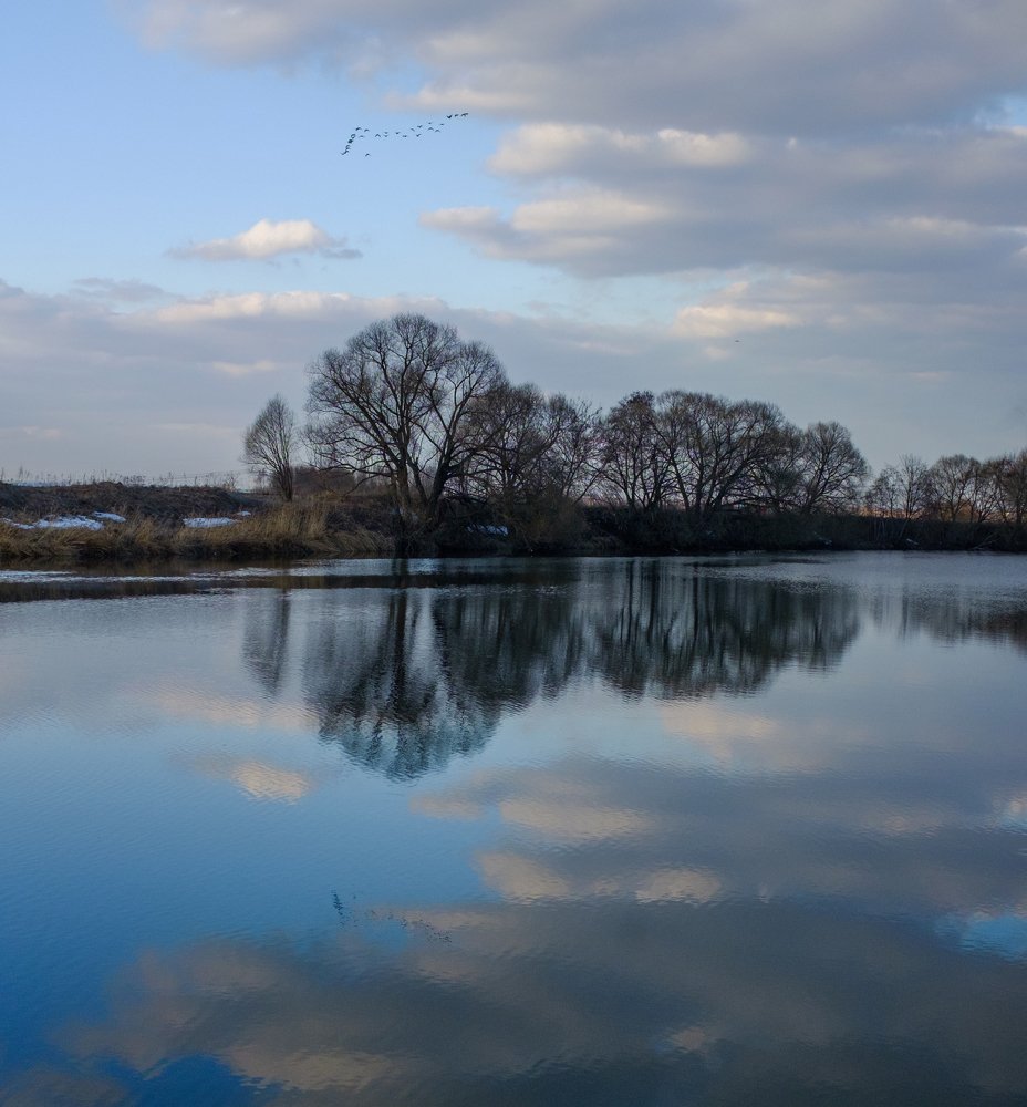 Симметрия. Перелетные птицы над рекой Пахра, Московская область.