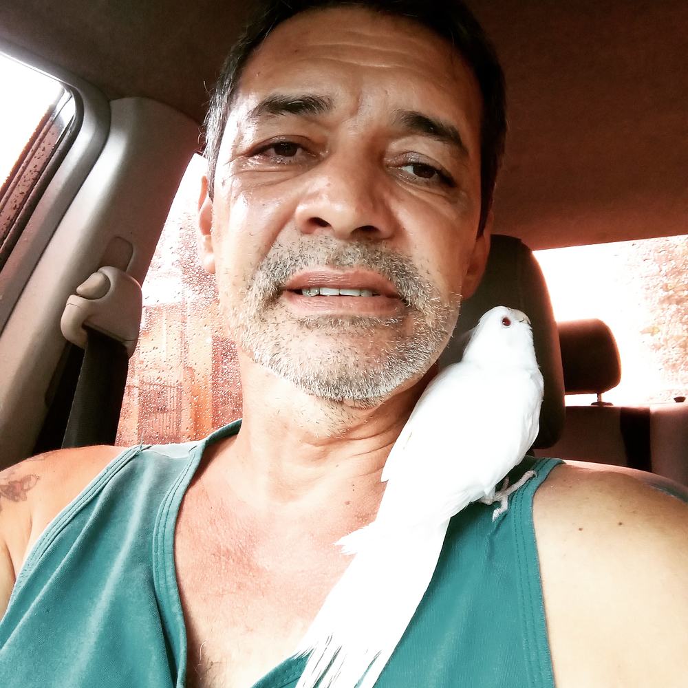May bird 09/11/2019