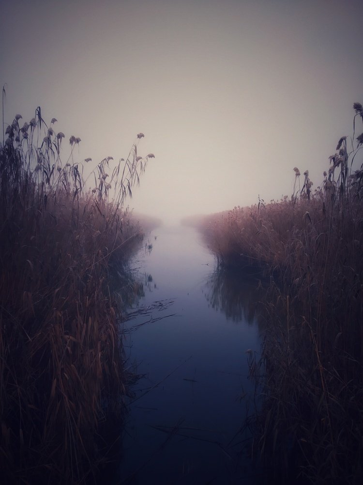 Photograph by Владимир Котолосов