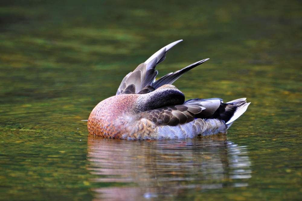 Photograph by Kristina G