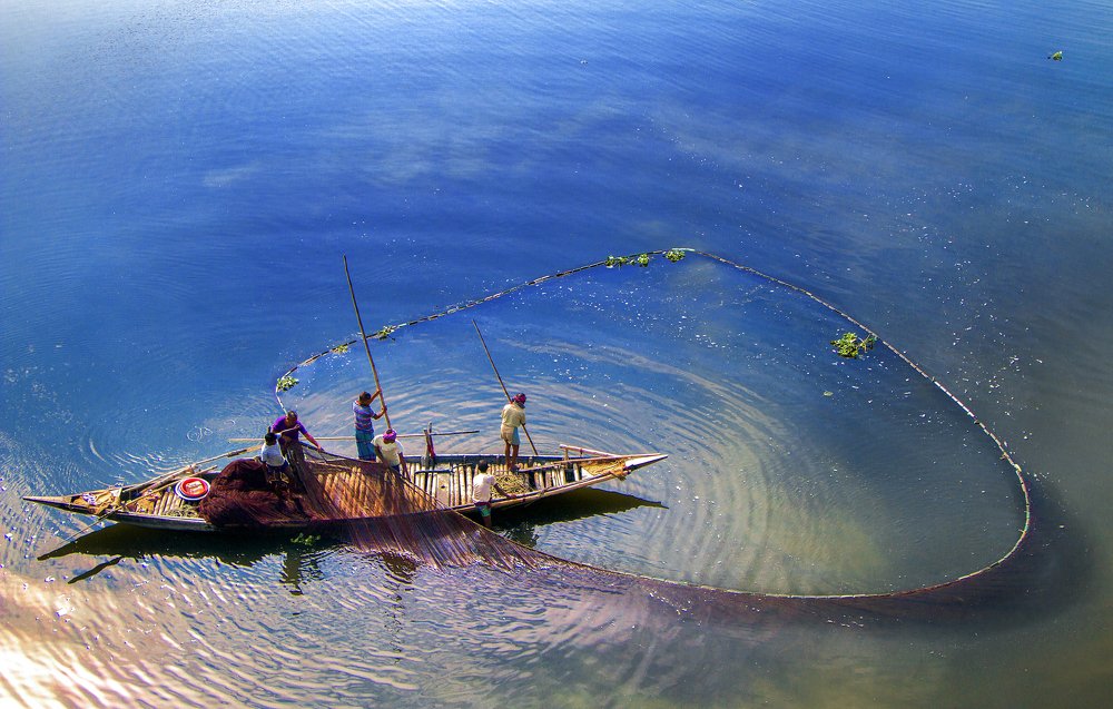 Fshing in the deep blue river