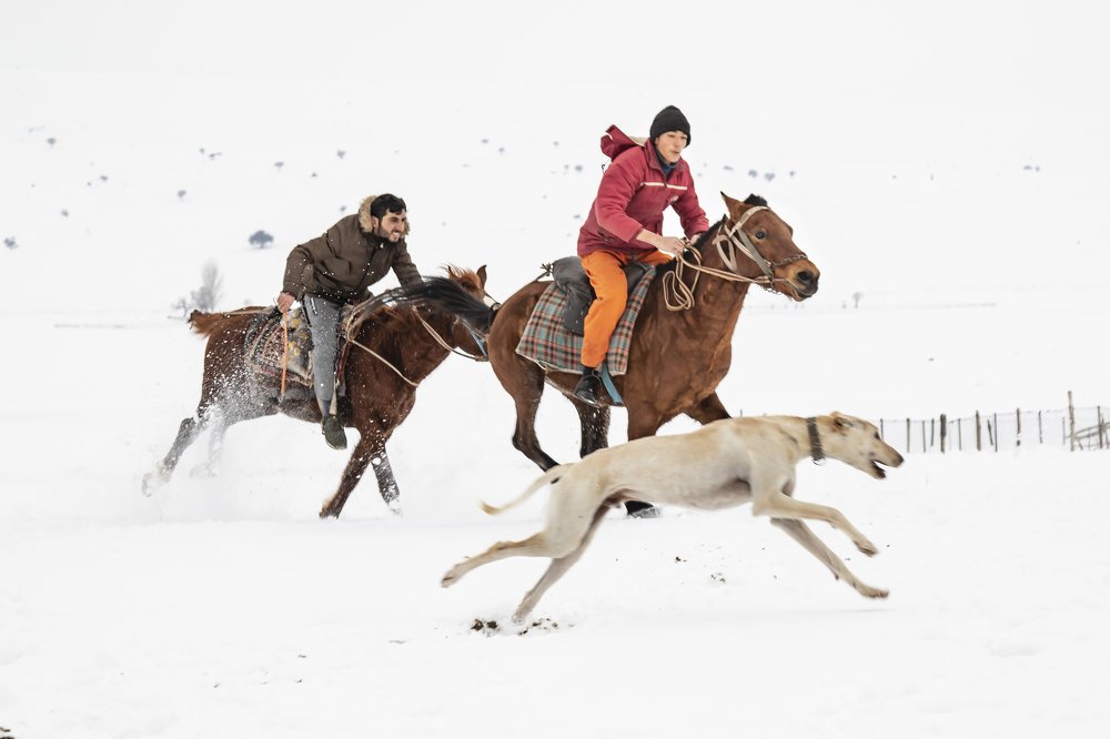 Photograph by Mehmet Can ALKAS