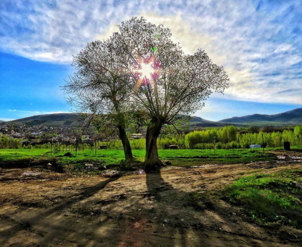 Photograph by Bahrami Ashkan