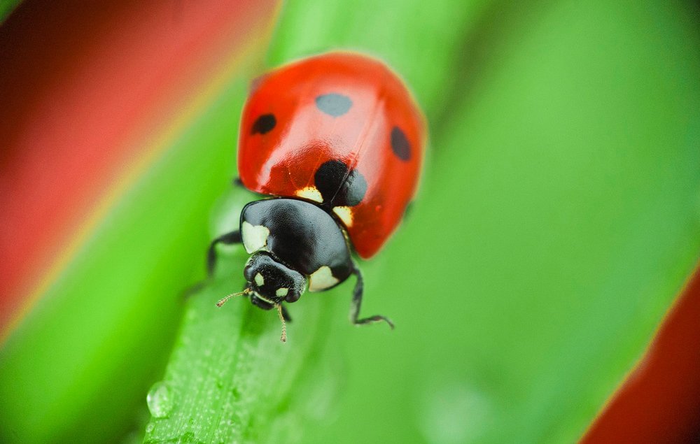 Я тороплюсь