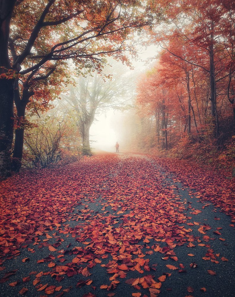 Photograph by Красимир Матаров