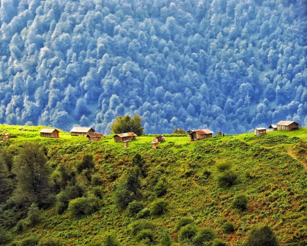 Photograph by Bahrami Ashkan