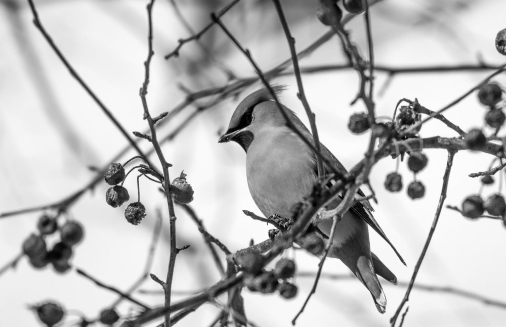 Photograph by Наталья