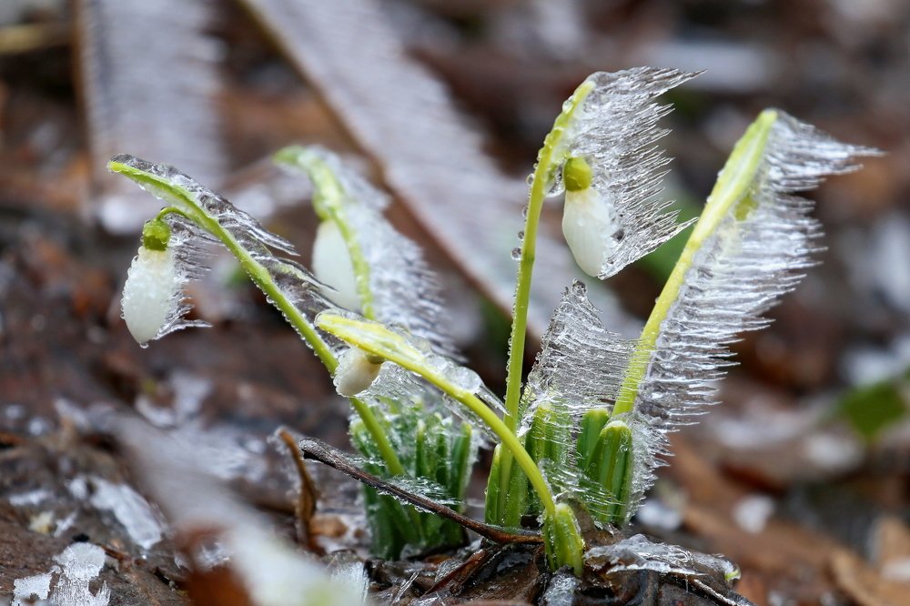 Photograph by Григорий Прокопов