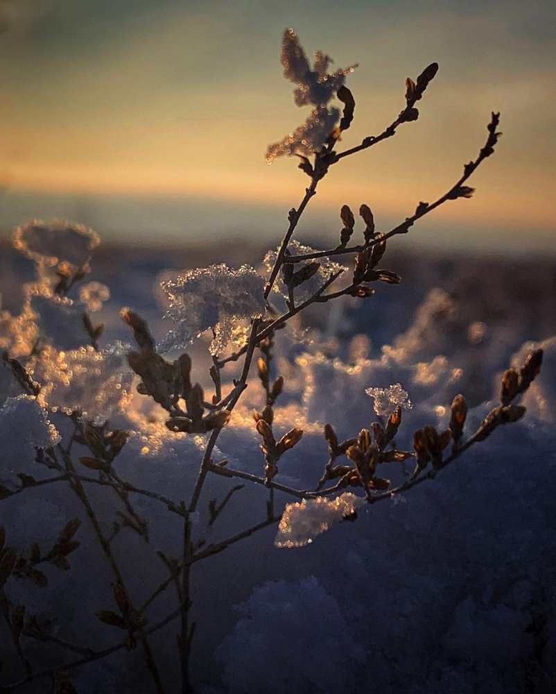 Зимне солнце