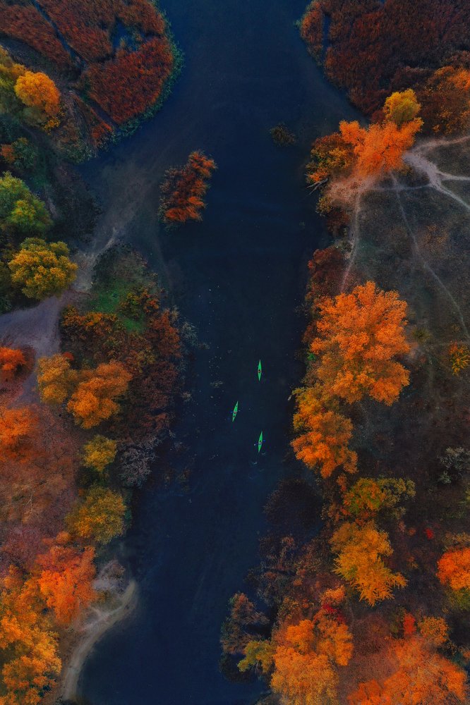 Осенние Краски