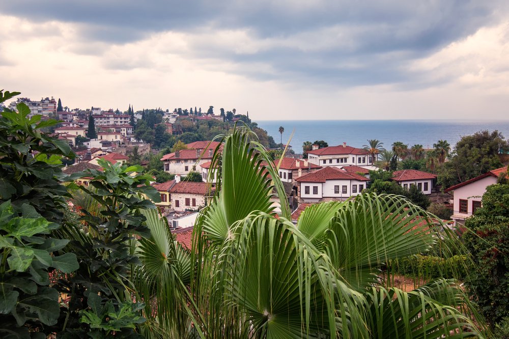 Фотография автора Eлена Пивнякова