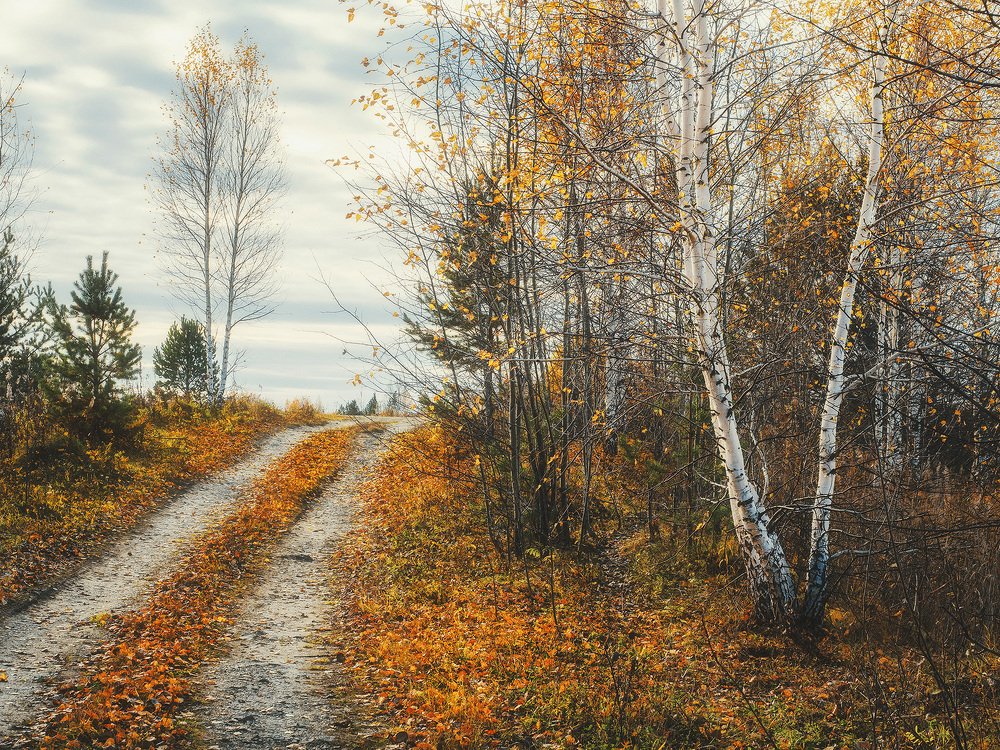 Фотография автора Виктор