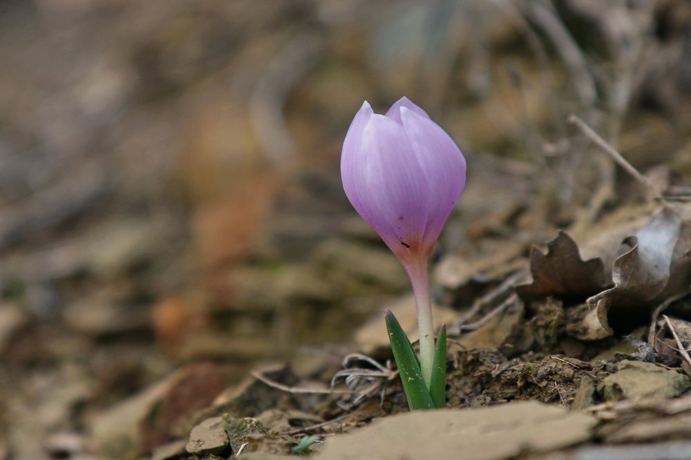 Photograph by Григорий Прокопов