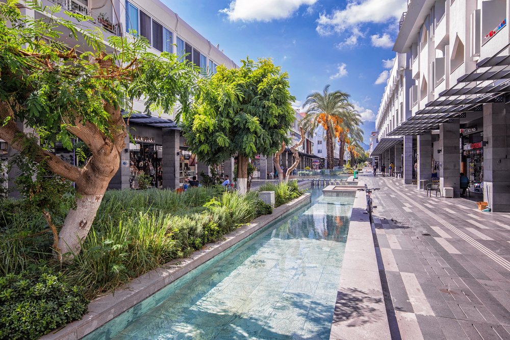 Фотография автора Eлена Пивнякова