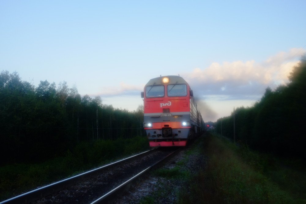 Туманное утро в деревне Жижица, Псковская область.
