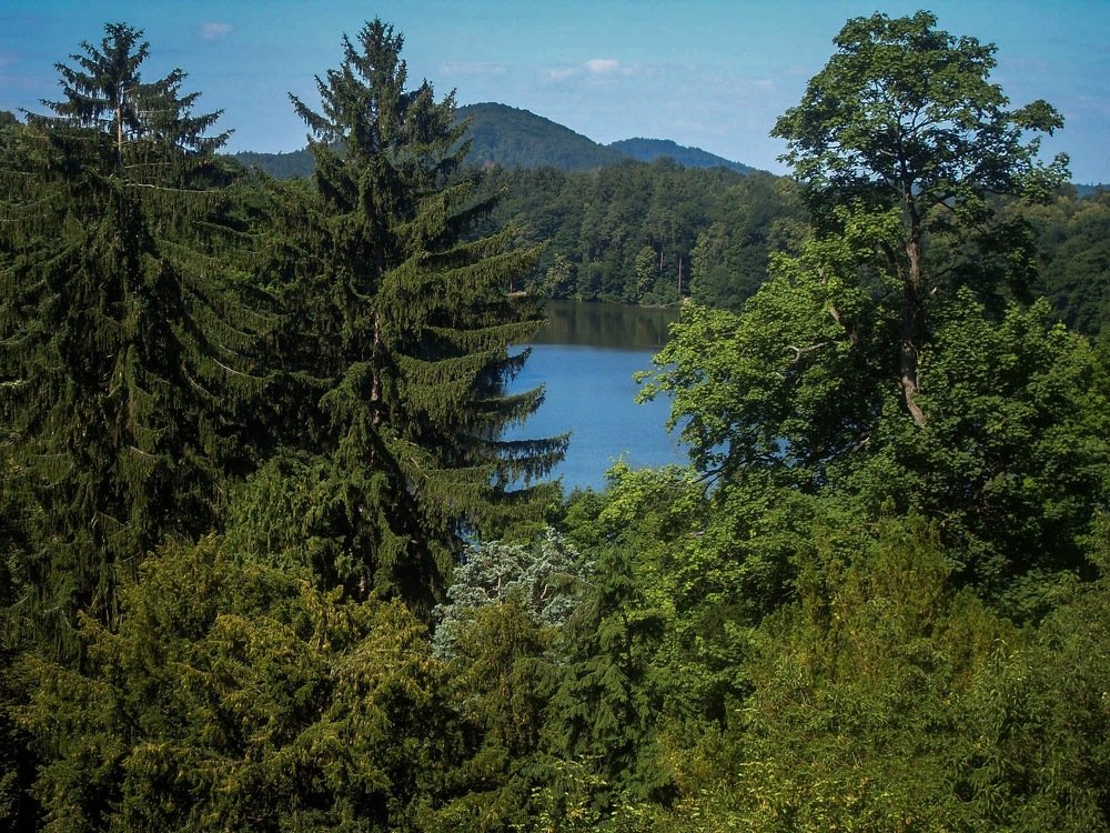 Photograph by Светлана