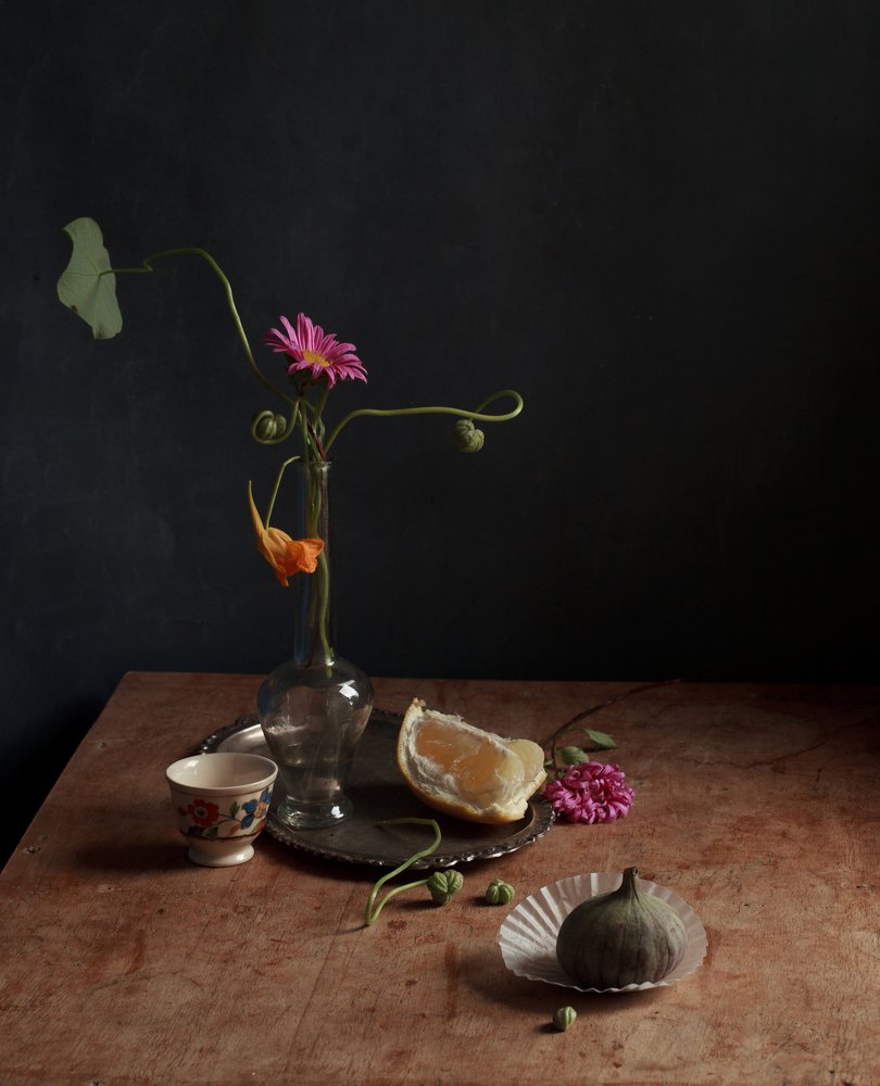 Photograph by marianna marina