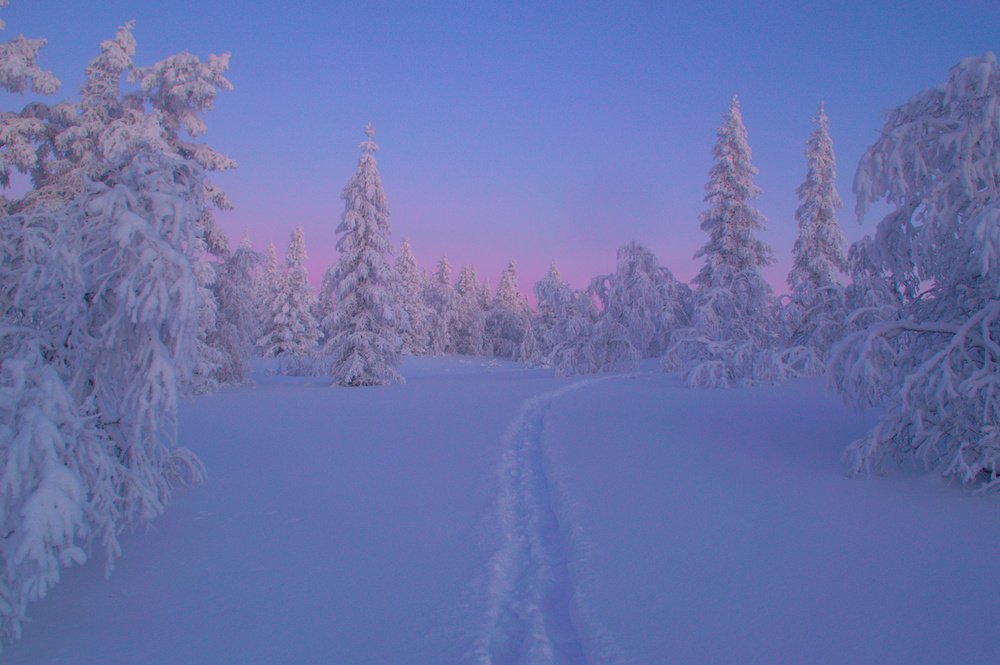 Photograph by Февралев Дмитрий