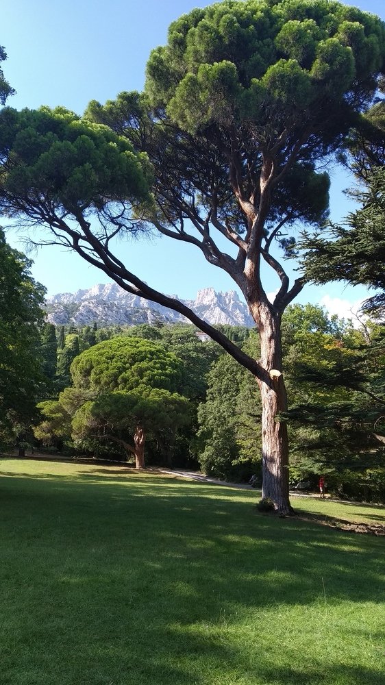 Photograph by Сергей Бурьян