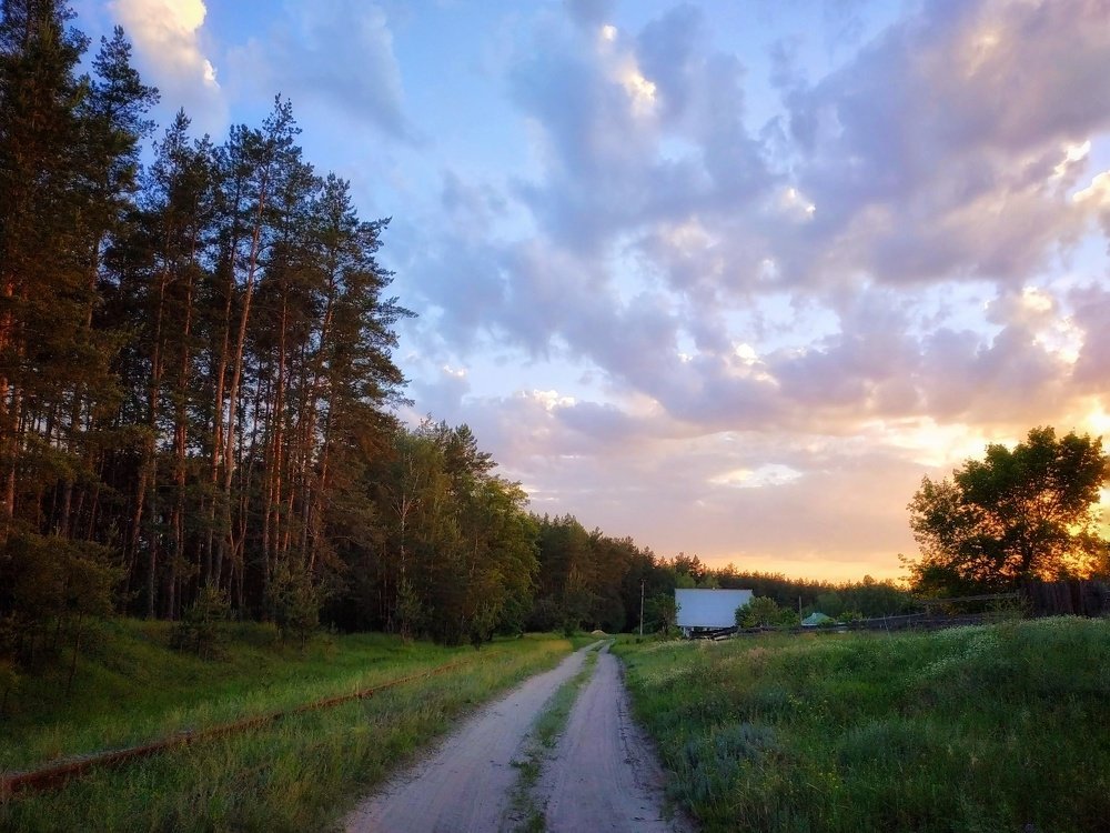 Photograph by Михаил Агарков