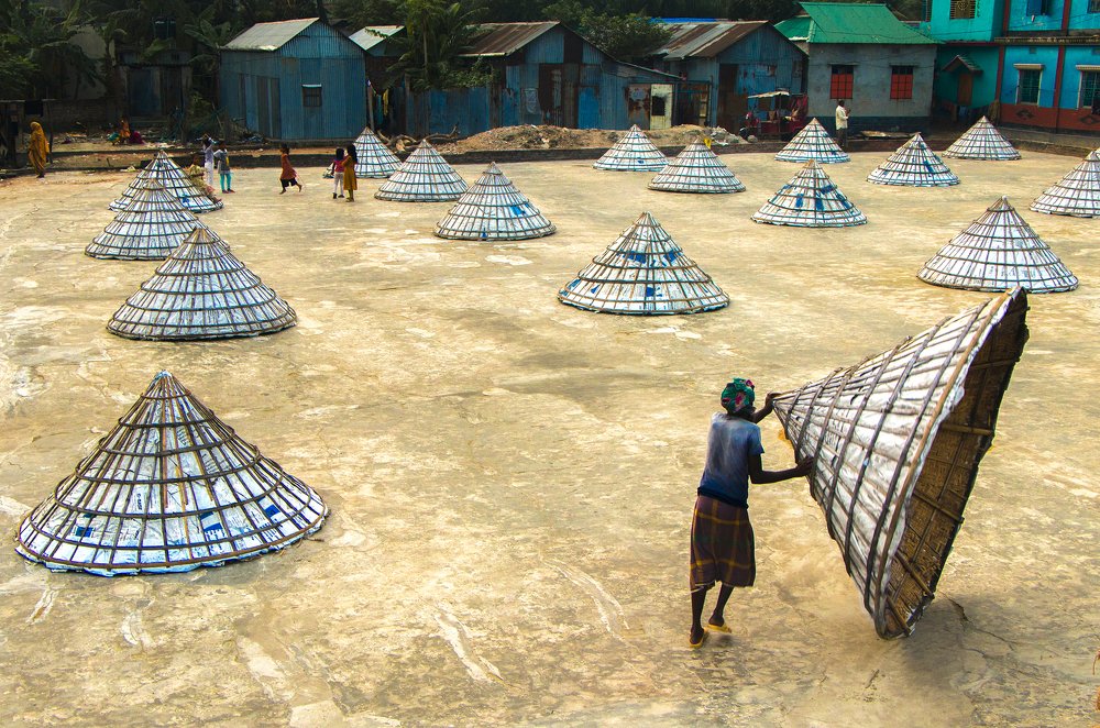 Covering the grains in a grain drying field