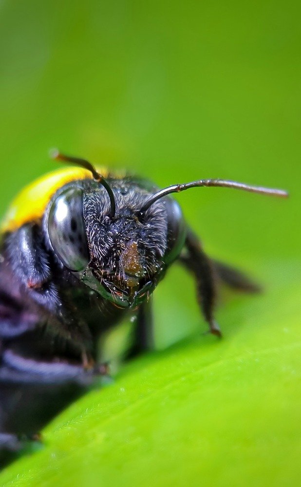 Photograph by Mahmud Hasan