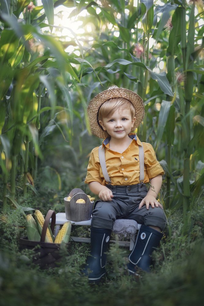 Кукурузные джунгли