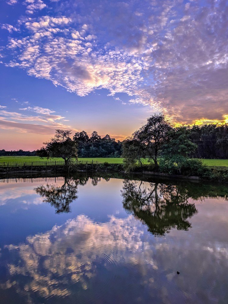 A Evening View oF My Village