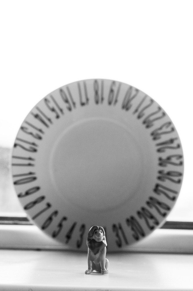 Photograph by Катя Дудченко