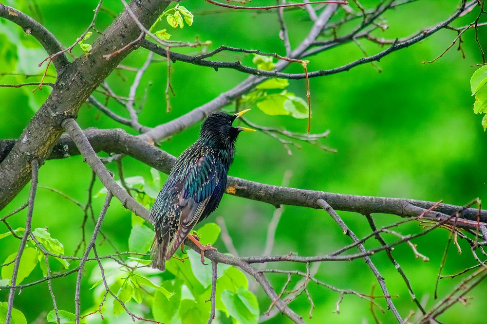 Photograph by Людмила Бурьян