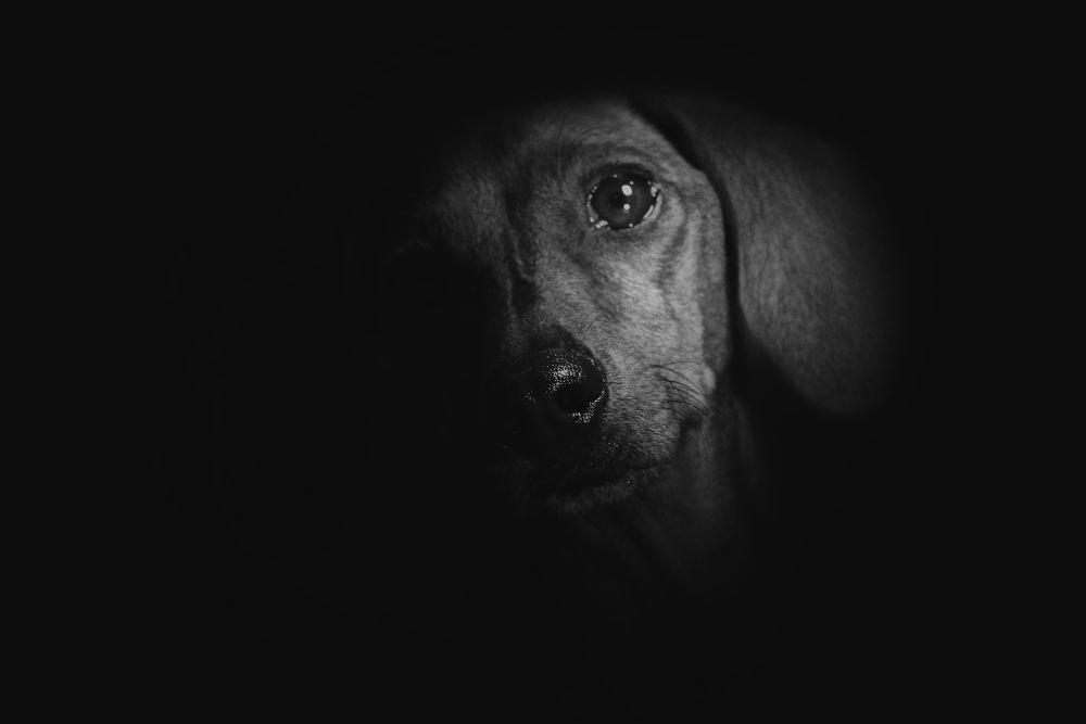 Photograph by Ricardo Sánchez