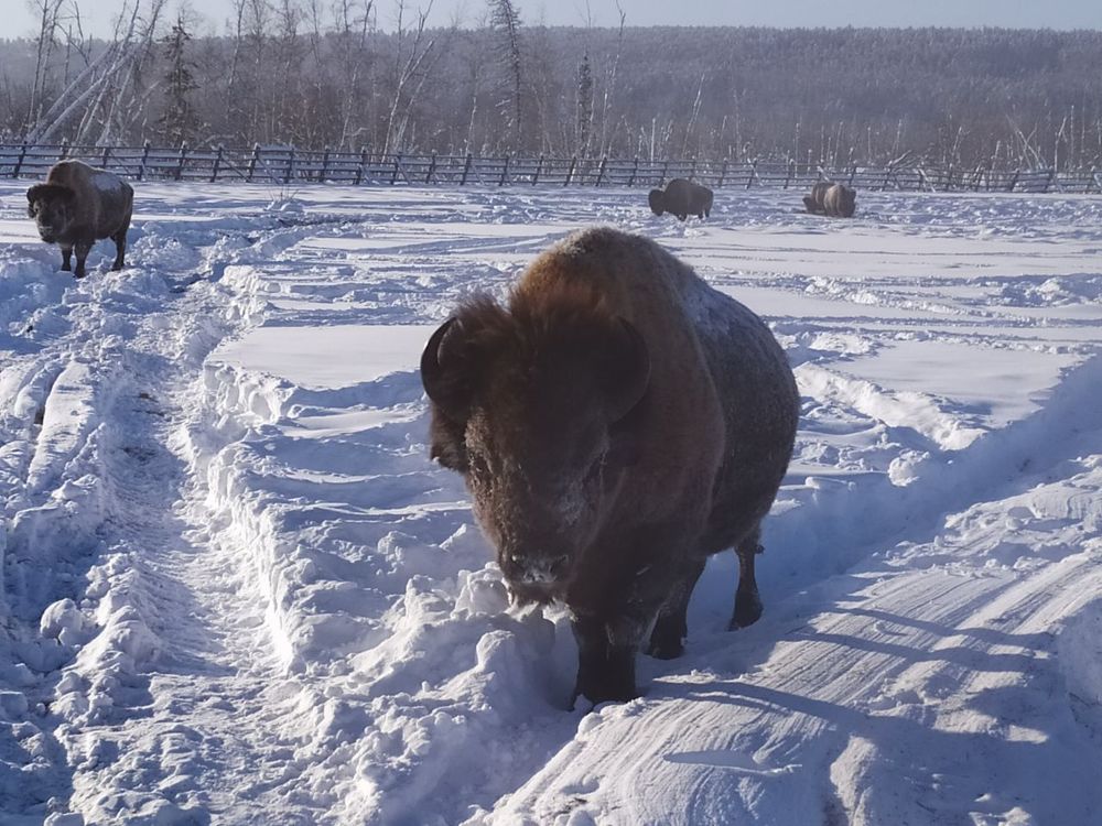 Photograph by Александр Винокуров